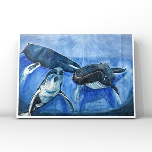 Humpback Whale Art Print