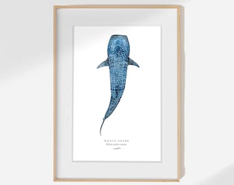 ジンベイザメ　絵画　イラスト ジンベイザメのアートプリント - 限定版 海洋イラスト - Etsy 日本