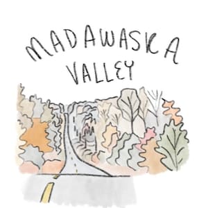 Cartas de jogar Vale Madawaska