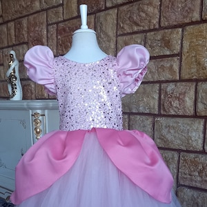 CINDERELLA COSTUME for Baby. Disney Princess Dress. Cinderella Theme Costume Etsy Canada
