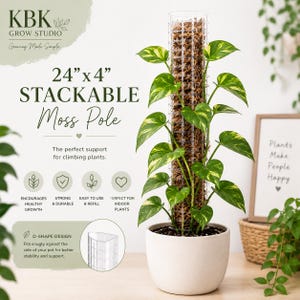 Stapelbare mosstok van 60 cm | Leeg of gevuld met mos | D-vormige plantensteun | Monstera, Pothos, Philodendron, kamerplanten | Starterset voor het kweken