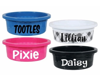 dog collar spy camera