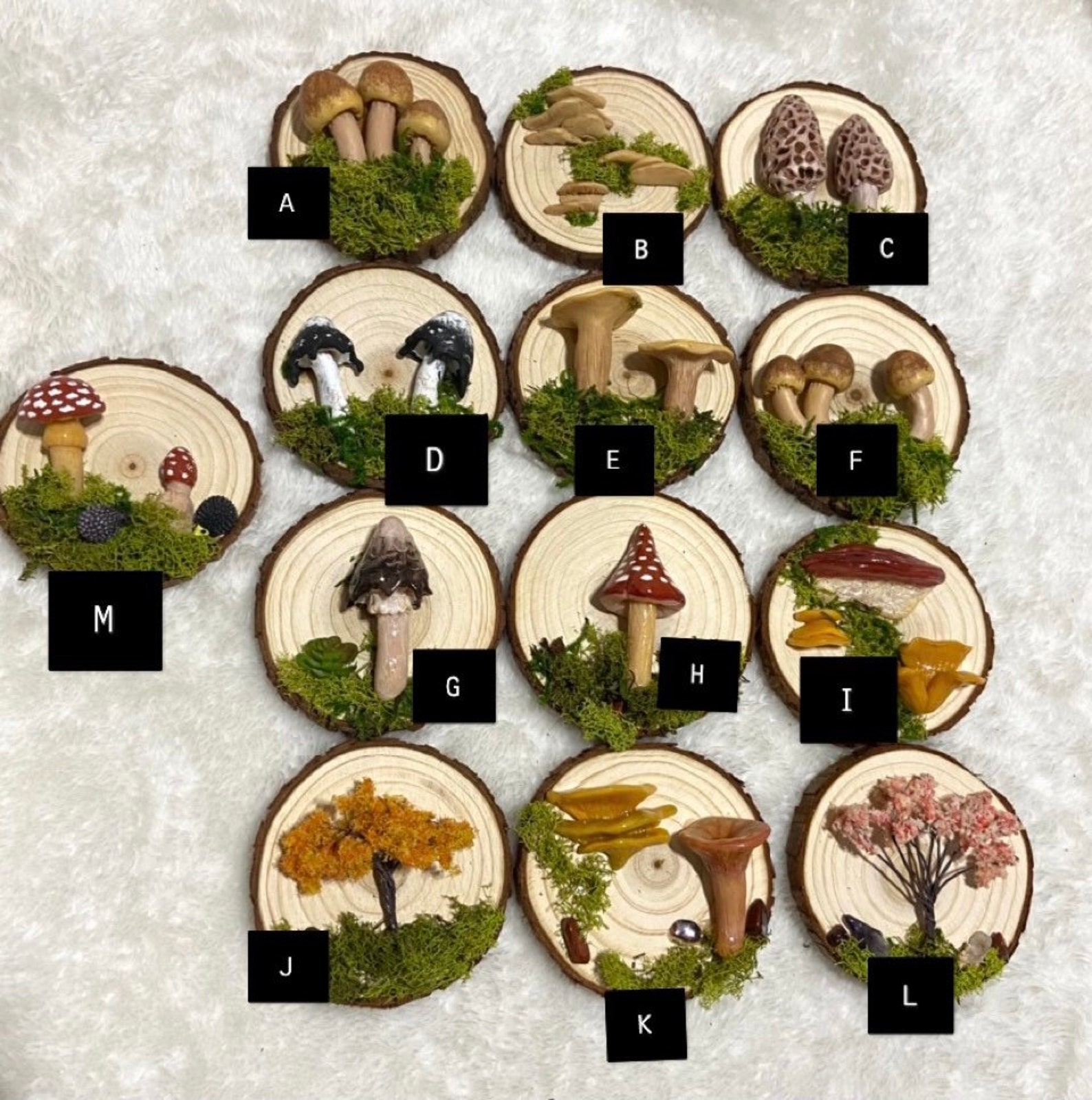 Mushroom Wall Hanging Mushroom Wall Decor Cottagecore Gift Etsy
