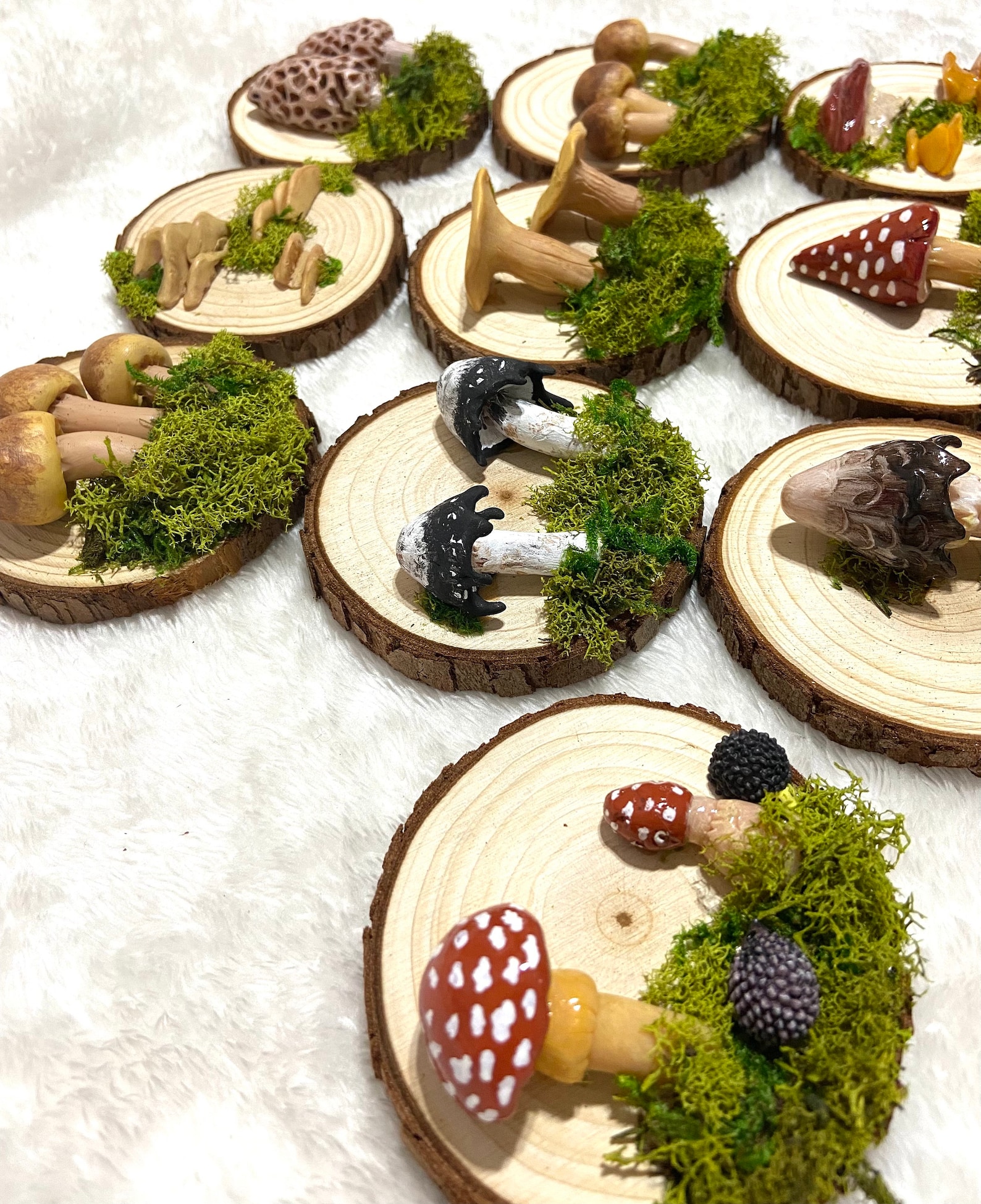 Mushroom Wall Hanging Mushroom Wall Decor Cottagecore Gift Etsy