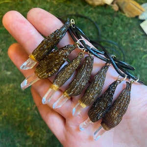 Real Morel Mushroom & Crystal Quartz Pendant Necklace - Minnesota Art