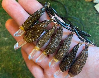 Real Morel Mushroom & Crystal Quartz Pendant Necklace - Minnesota Art