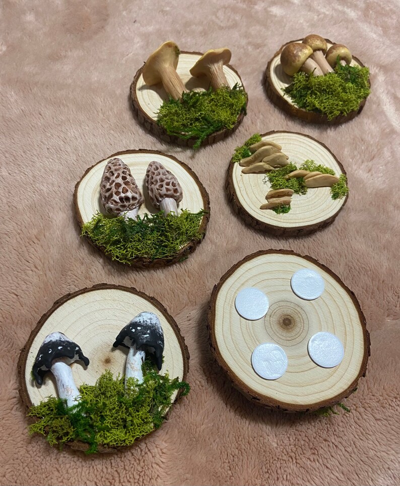Mushroom Wall Hanging Mushroom Wall Decor Cottagecore Gift Etsy