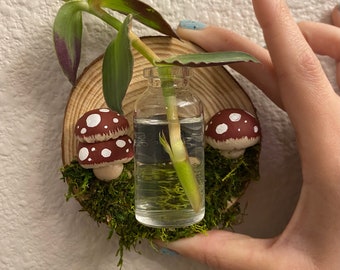 Plant propagation wall hanging, mushroom decor with removable magnet jar, wood planter mini vase teacher gift, cottagecore houseplants