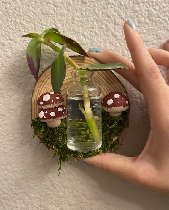 Mushroom Plant Propagation Wall Hanging: Cottagecore Decor - Etsy
