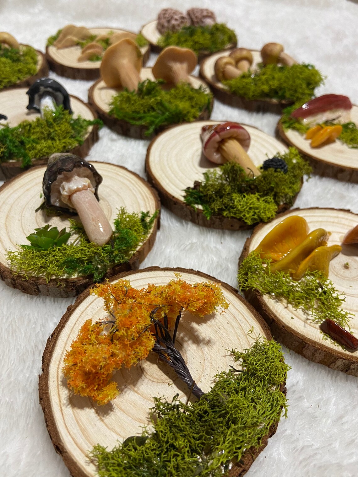 Mushroom Wall Hanging Mushroom Wall Decor Mushroomcore Etsy