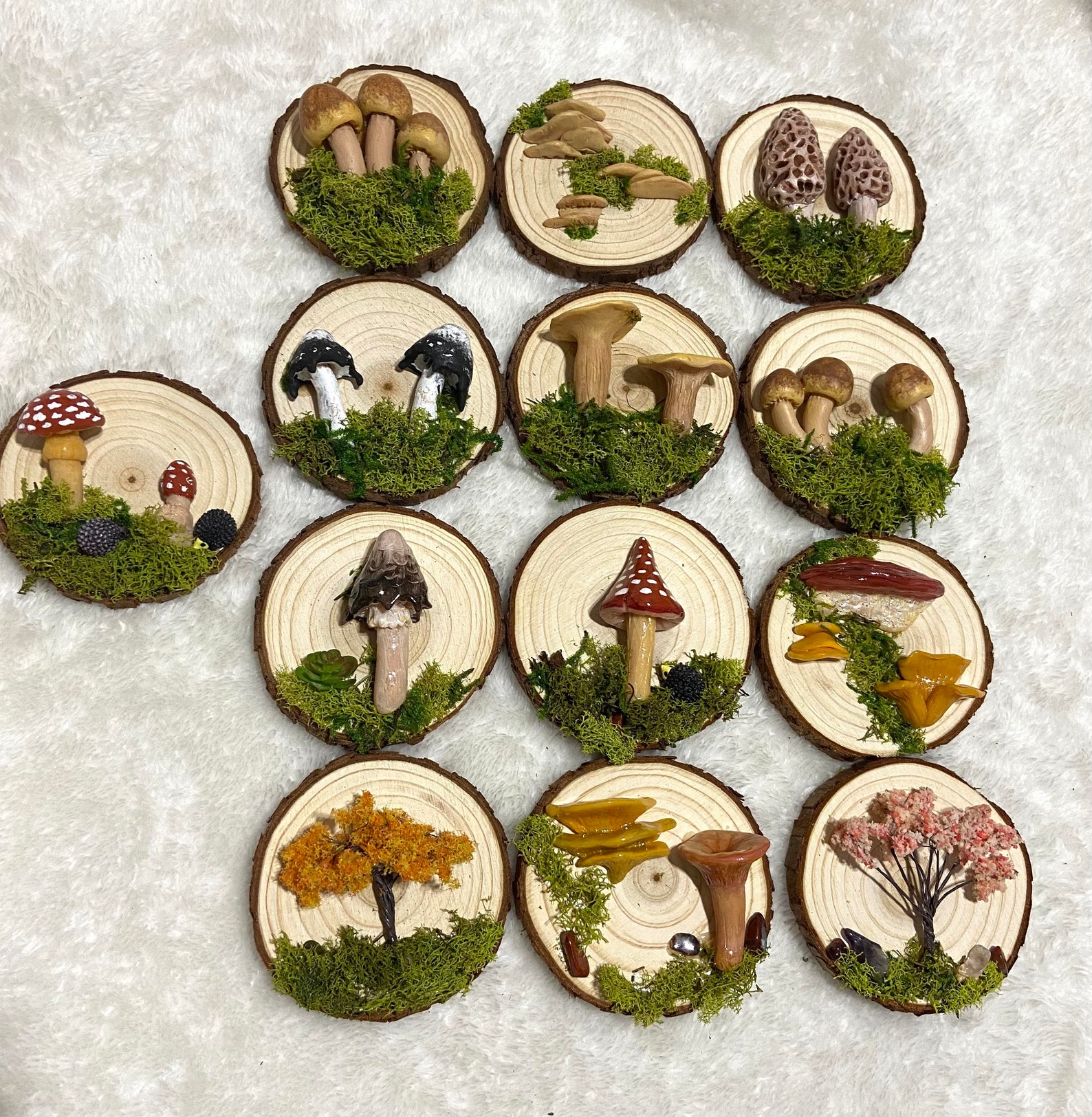 Mushroom wall hanging mushroom wall decor cottagecore gift Etsy Polska
