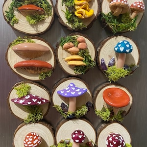 Mushroom magnet moss and wood, mushroom lover gift, mushroomcore magnet, cottagecore kitchen, fungi, forager, teacher present, fall decor
