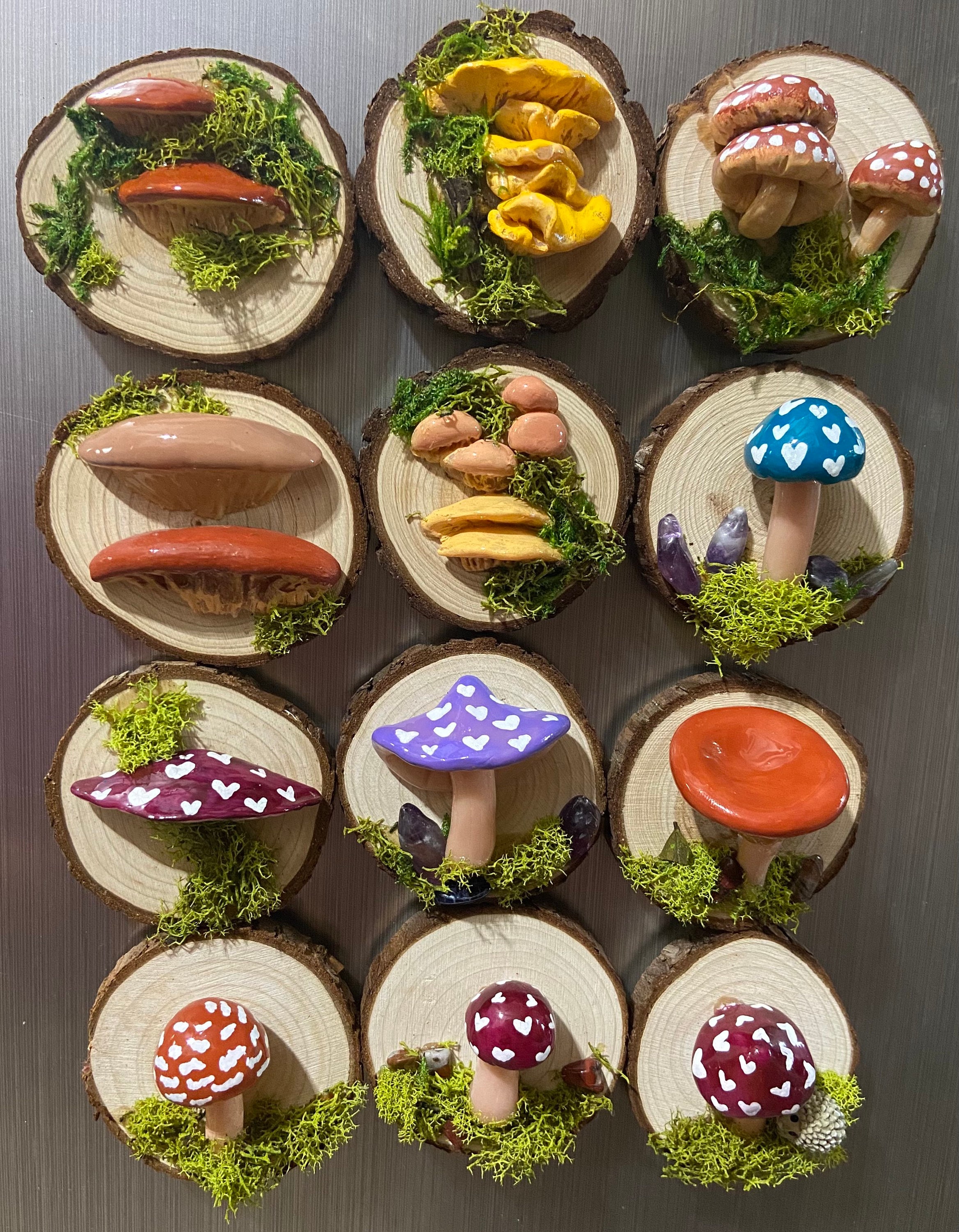 Mushroom magnet with real moss and wood, mushroom lover gift, mushroo…
