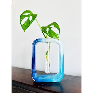 Jarrón de vidrio para propagación de plantas de resina descontinuado, regalo para casa nueva, habitación de niña, dormitorio universitario, hierbas aromáticas, corte, agente inmobiliario, inauguración de casa, mudanza militar