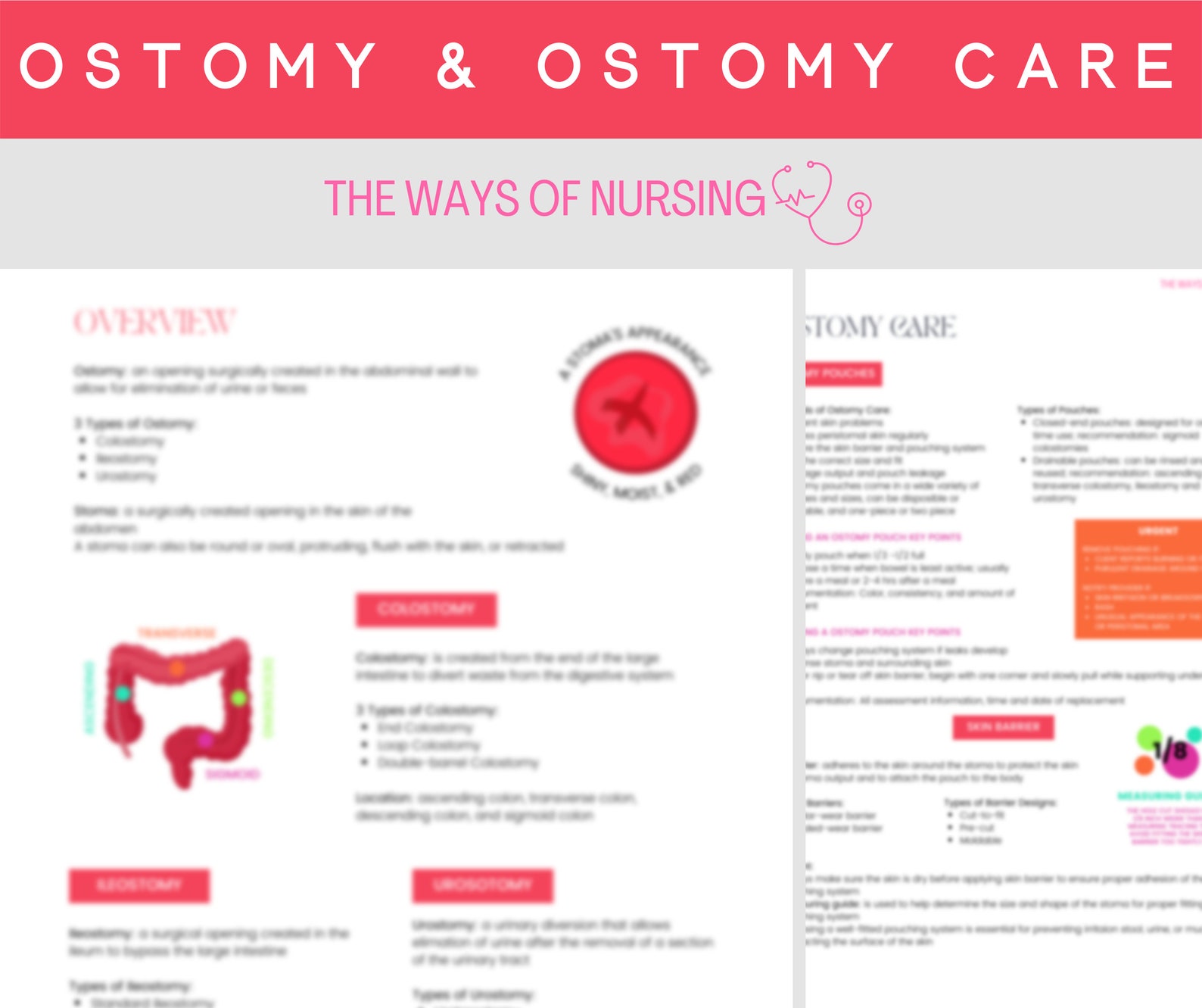 Ostomy & Ostomy Care Nursing Student 2 Pages Study Guide Etsy