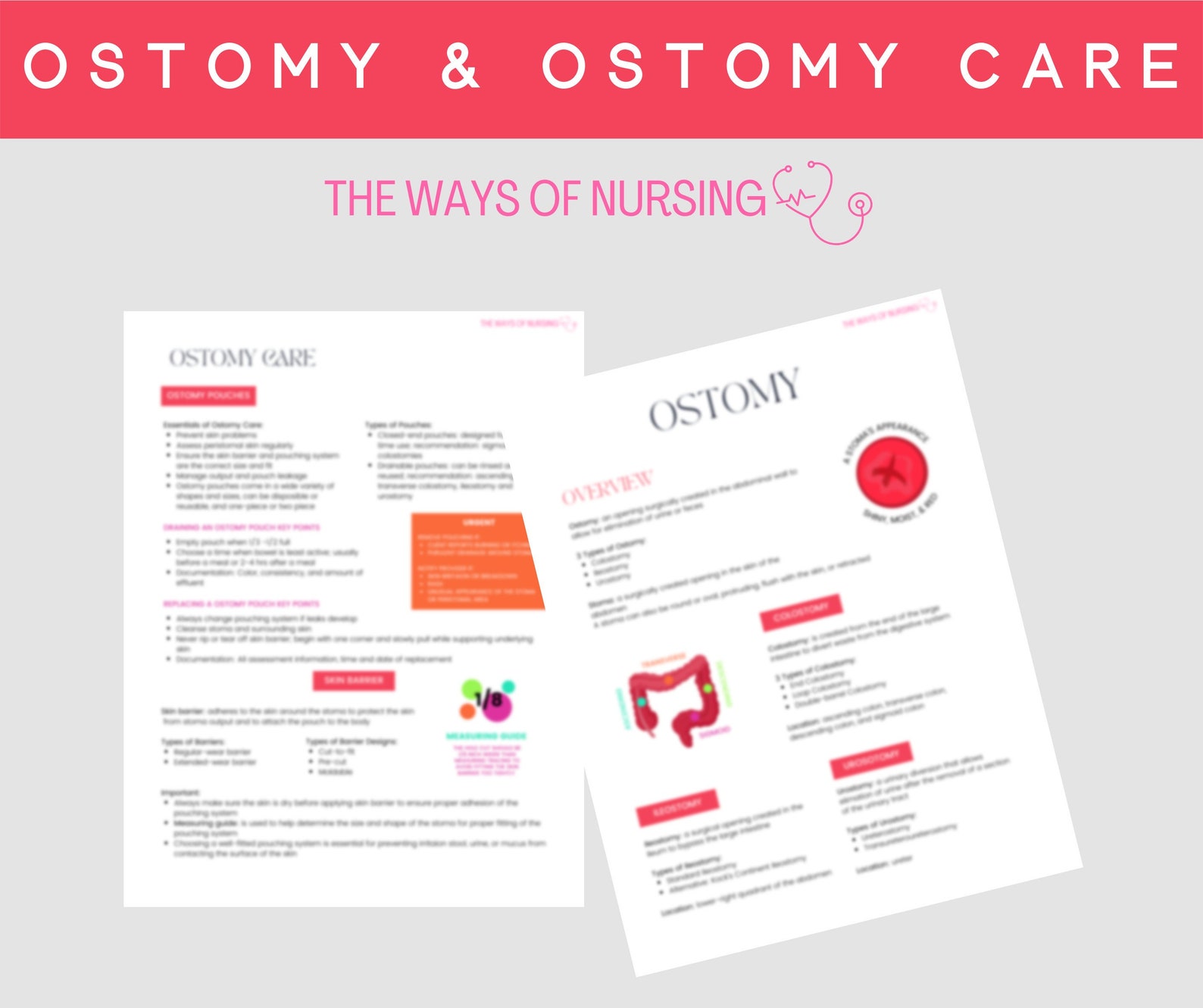 Ostomy & Ostomy Care Nursing Student 2 Pages Study Guide Etsy