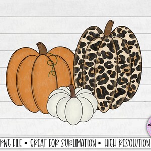 May include: Three pumpkins, one with a leopard print design, one with a solid orange color, and one white pumpkin. The pumpkins are arranged in a row.