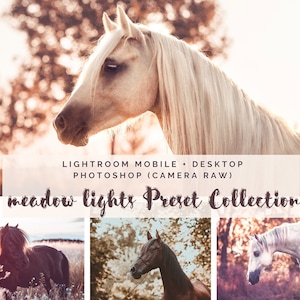 20 Lightroom FINE ART Presets Bundle | Desktop + Mobile Photoshop | Horse Photography Animal Photography Dogs Nature | Image Look Instagram Filter