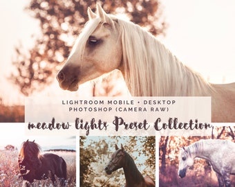 20 Lightroom FINE ART Presets Bundle | Desktop + Mobile Photoshop | Horse Photography Animal Photography Dogs Nature | Image Look Instagram Filter