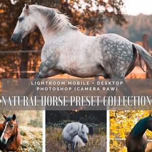 25+3 NATURAL Lightroom Presets | DESKTOP + MOBILE Photoshop | Horse Photography Animal Photography Dogs Nature | Image Look Instagram Filter