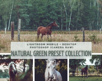 10 NATURAL GREEN Lightroom Presets | Desktop + Mobile Photoshop | Horse Photography Animal Photography Dogs Nature | Image Look Instagram Filter