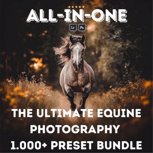 1000+ Preset Set for LIGHTROOM Mobile & Desktop | Horse Photography Mega Presets Bundle | Wildlife, Instagram, Bloggers | All Seasons