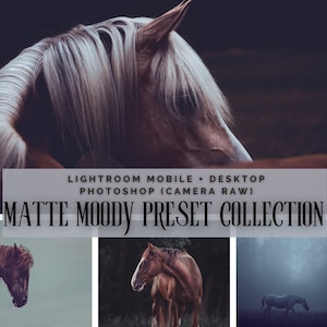 Può includere: Una collezione di preset Lightroom e Photoshop per creare immagini opache e malinconiche. I preset sono progettati per funzionare con le versioni mobili e desktop del software. L'immagine mostra tre esempi di preset applicati a foto di cavalli.