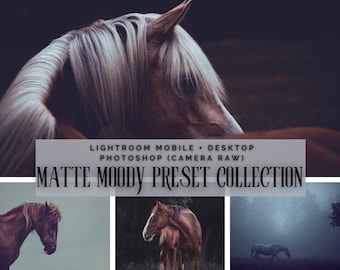 30+4 MOODY Lightroom Presets Bundle | DESKTOP + MOBILE Photoshop | Horse Photography Animal Photography Dogs Nature | Image Look Instagram Filter