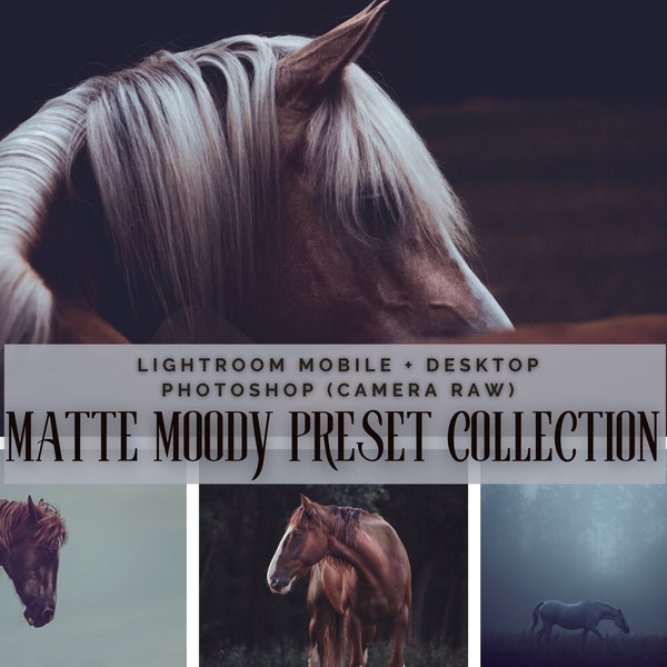 30+4 Lightroom Presets | DESKTOP + MOBILE Photoshop | horse photography animal photography dogs nature | Photo Filter Image Look Instagram Filter