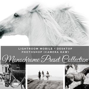 Könnte beinhalten: Eine Sammlung von monochromen Presets für Lightroom Mobile und Desktop sowie Photoshop (Camera Raw). Das Bild zeigt drei verschiedene Fotos von Pferden in Schwarzweiß.