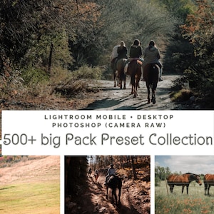 Könnte beinhalten: Eine Sammlung von über 500 Lightroom- und Photoshop-Presets für Mobilgeräte und Desktop. Das Bild zeigt eine Gruppe von Personen, die auf einem Feldweg durch einen Wald reiten, ein weißes Pferd auf einer Weide und zwei braune Pferde auf einer Weide.