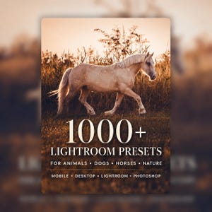 May include: A light-coloured horse walks through a field at sunset. The text reads: 1000+ LIGHTROOM PRESETS FOR ANIMALS • DOGS • HORSES • NATURE MOBILE + DESKTOP • LIGHTROOM + PHOTOSHOP. The image features warm, golden-toned lighting throughout.