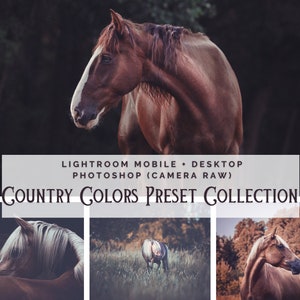 30+2 Lightroom Presets | DESKTOP + MOBILE Photoshop | horse photography animal photography dogs nature | Photo Filter Image Look Instagram Filter