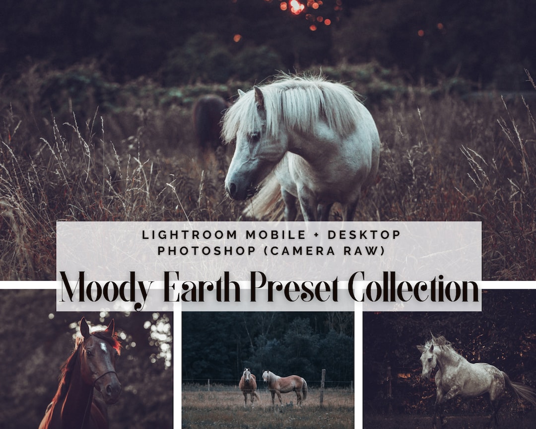 10+2 Lightroom MOODY Presets Bundle | DESKTOP + MOBILE Photoshop ...