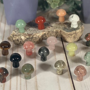 Mini Crystal Mushrooms – Set of 16 | Assorted Stones | Wholesale Clearance Lot | Store Closing Sale