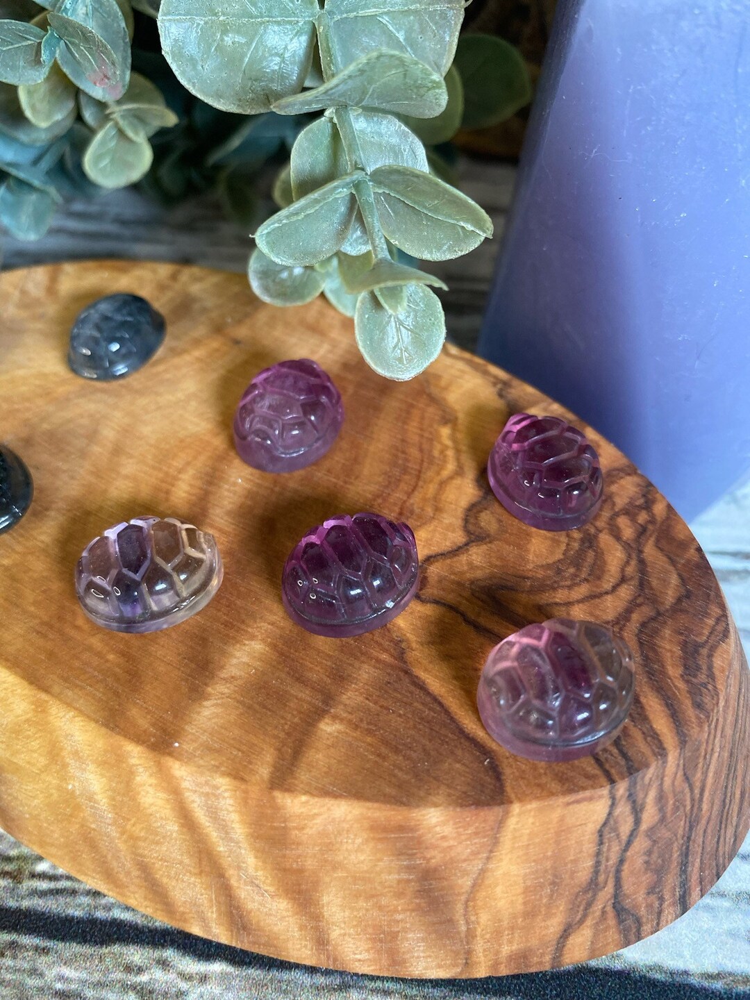 Mini Turtle Shell Carvings - Etsy