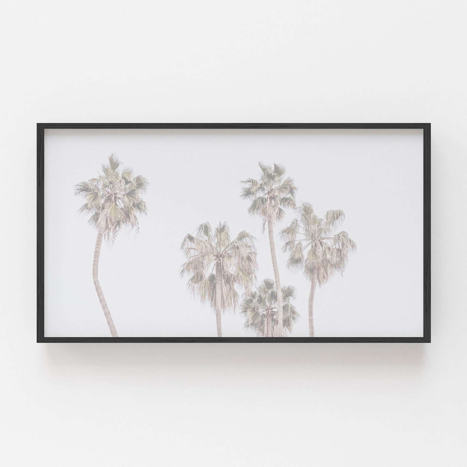 Art Frame Tv Palm Trees Digital Art Art for Frame TV Frame Etsy