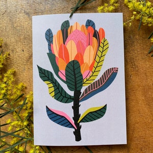 Protea