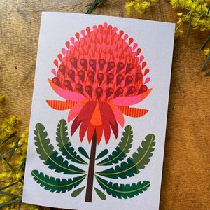 Waratah