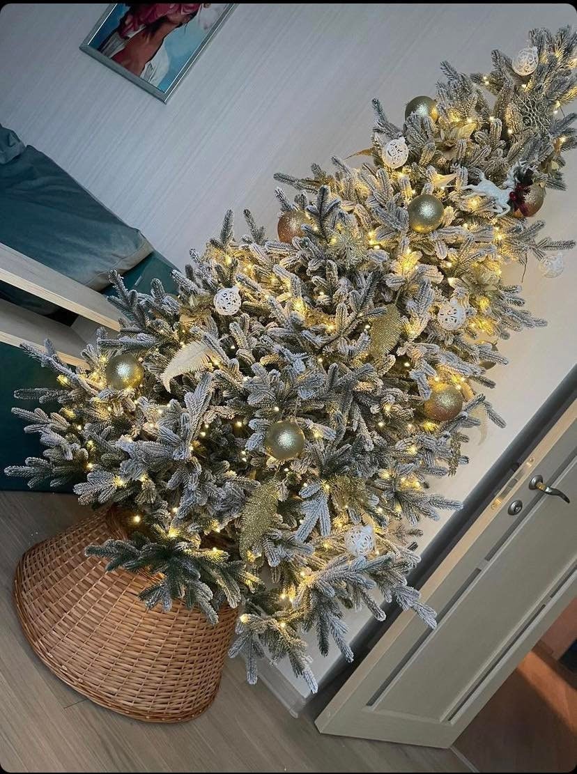 automatic water feeder for cows