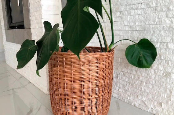 Wicker Hanging Plant Basket For Succulents & Cactus – 6.5x3.5x7.9 Inch Indoor Planter – Modern, Lightweight – Great For Home, Office, Or As A Gift