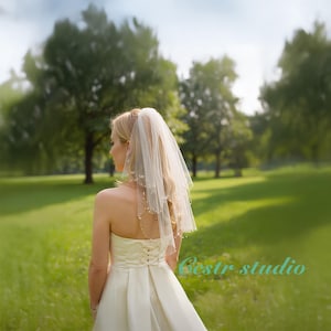 May include: A bride in a strapless ivory wedding dress with a lace-up back and a delicate veil adorned with small beads. The bride is standing in a green field with trees in the background. The veil is a soft, sheer fabric.