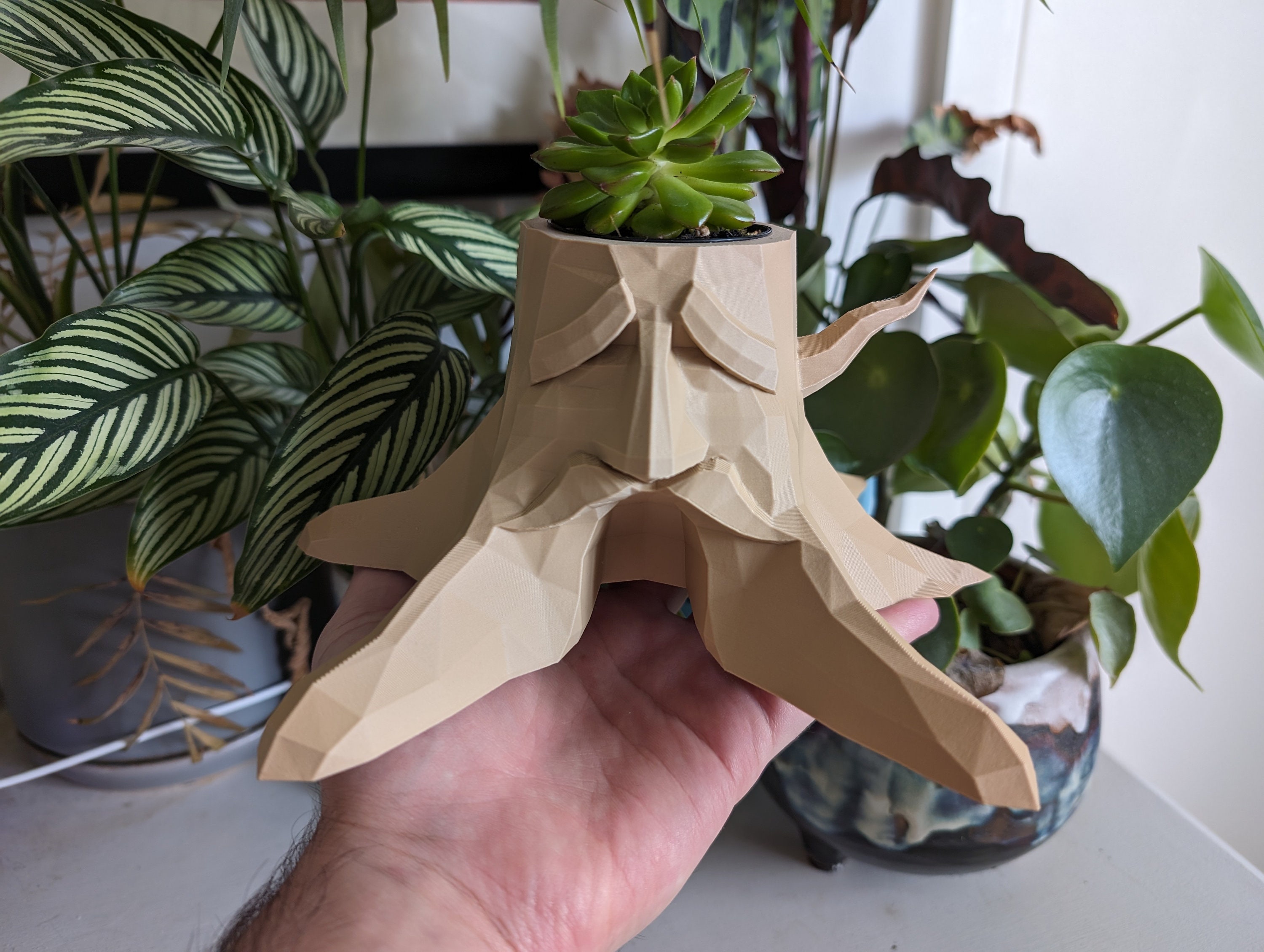 Great Tree Planter - Air Plant and Succulent - Trinket Holder - Etsy