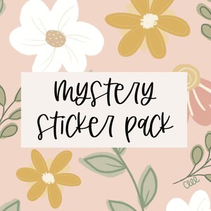 May include: A pink background with a white rectangle that says "mystery sticker pack" in black cursive lettering. The background is decorated with yellow, white, and pink flowers and green leaves.