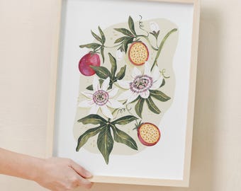 Impresión artística botánica de flor de la pasión: ilustración de estilo vintage