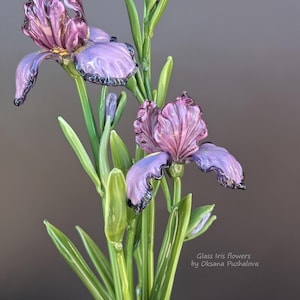 May include: Close-up of glass iris flowers in shades of purple and pink with green stems and leaves. The flowers have delicate, detailed petals with dark edges. The text "Glass Iris Flowers by Oksana Puzhalova" is visible.
