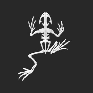 Navy SEAL Bone Frog STL File, 3d model, 3d printing, cnc, socom, special operations, NSW