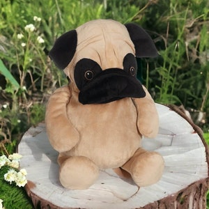 Massive pug clearance teddy