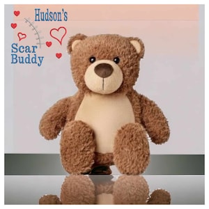 Brown Bear Scar Buddy CHD, Heart Awareness Bear, Heart Surgery Bear, CHD Gift, Personalised Scar Buddy, Heart Warrior Bear, Boy or Girl
