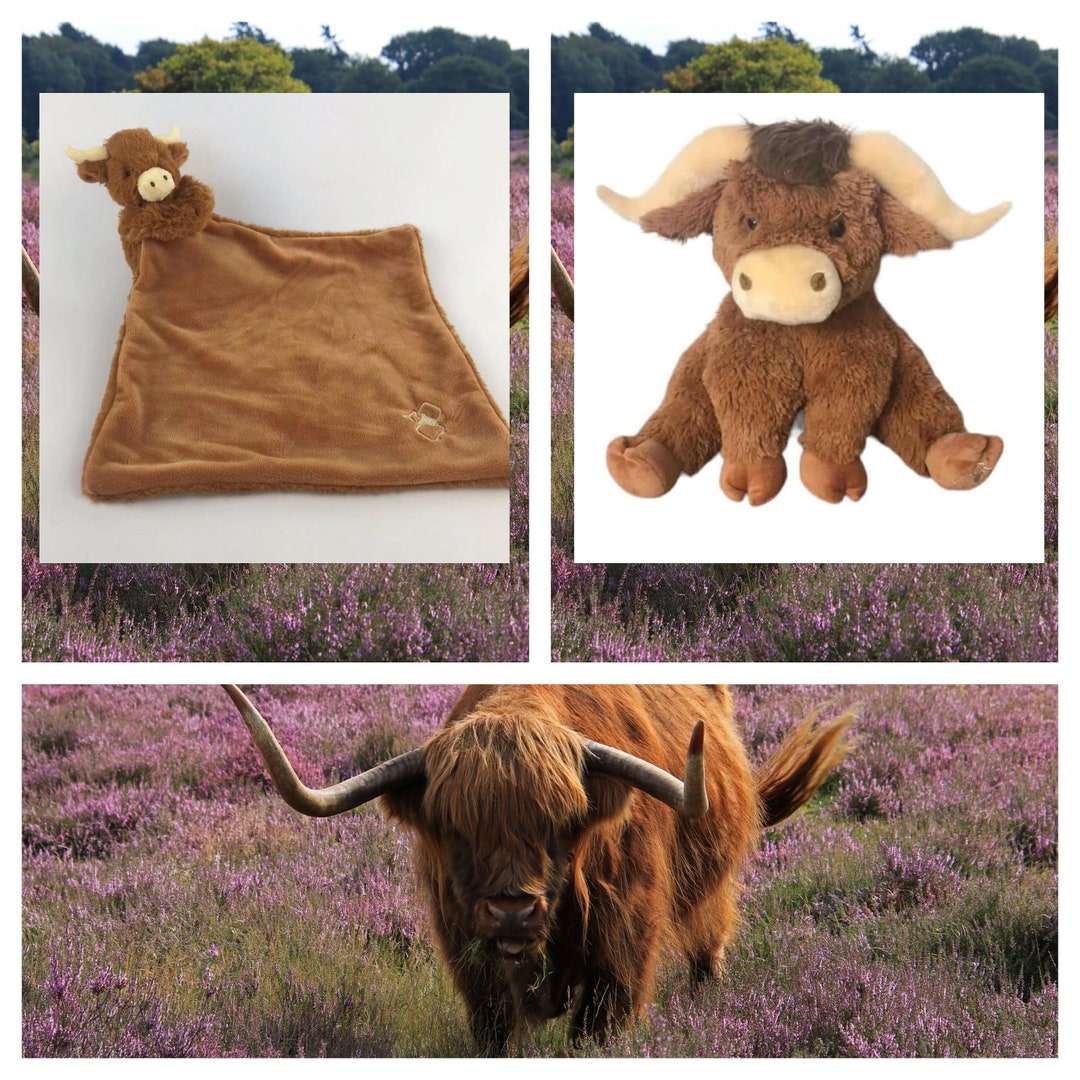 Highland Cow Comforter & Mini Highland Cow Baby Gift Set Etsy